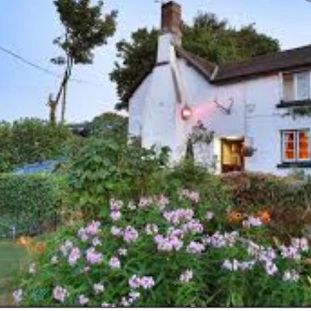 The Northmore Arms Throwleigh Luaran gambar